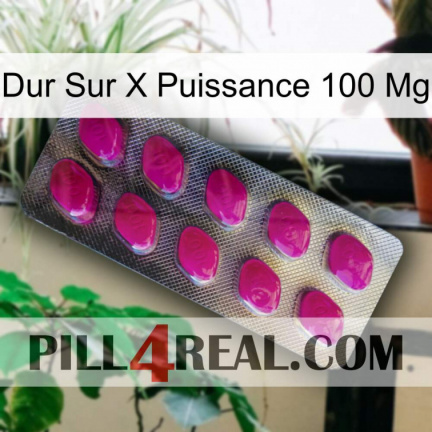 Hard On X Power 100 Mg 09